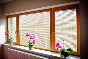 What should you know about window blinds?