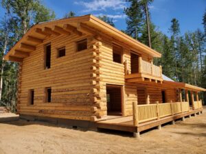 Jaki ekologiczny dom z drewna?